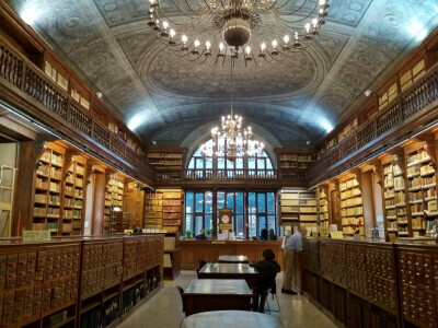 Harry Potter Library