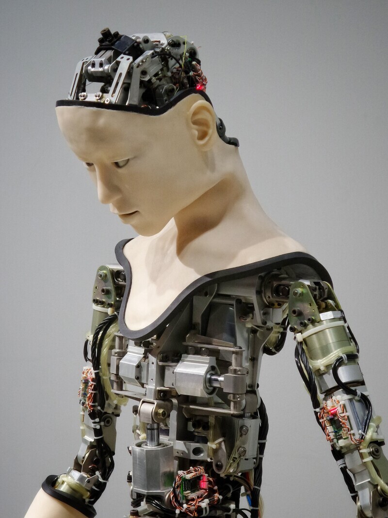 Human or AI