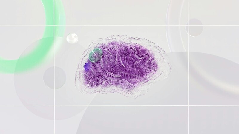 The fight between normative and descriptive… What does neuroeconomics have to do with it?