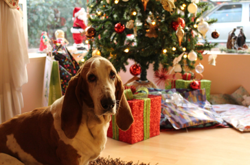 The economy of Christmas