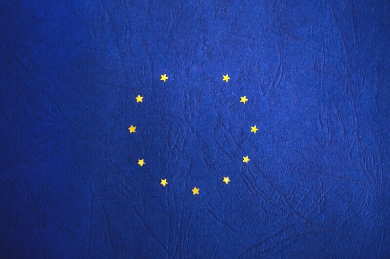 The 2019 European Elections