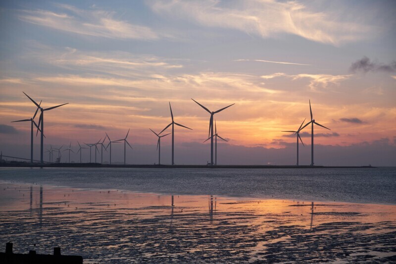 Profit vs. Planet: Optimization in ESG Risk Management